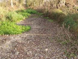 River Kennet