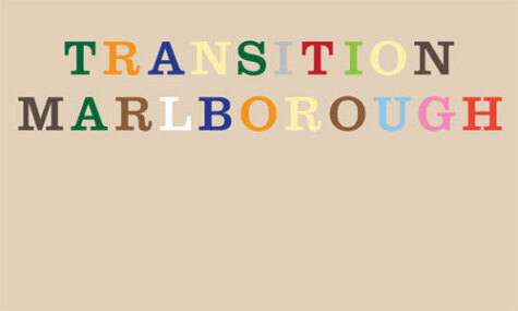 Transition Groups and Projects